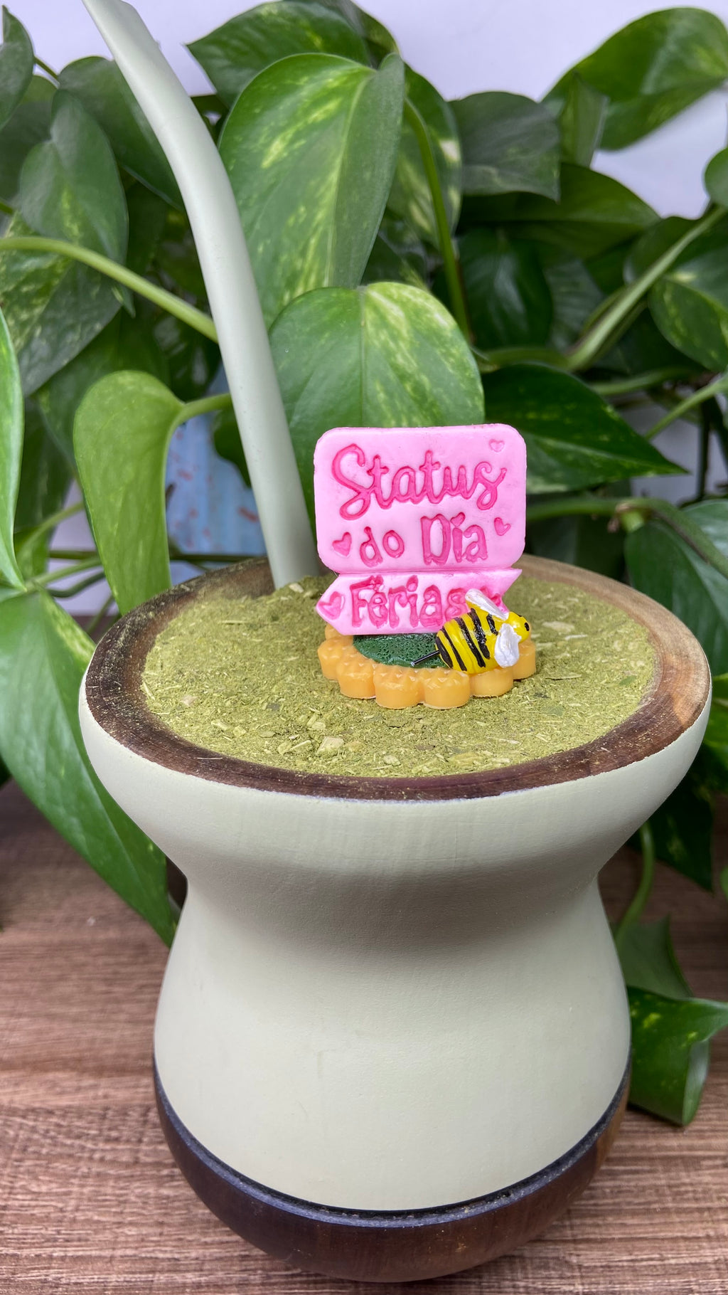 Status do dia férias| enfeite de chimarrão