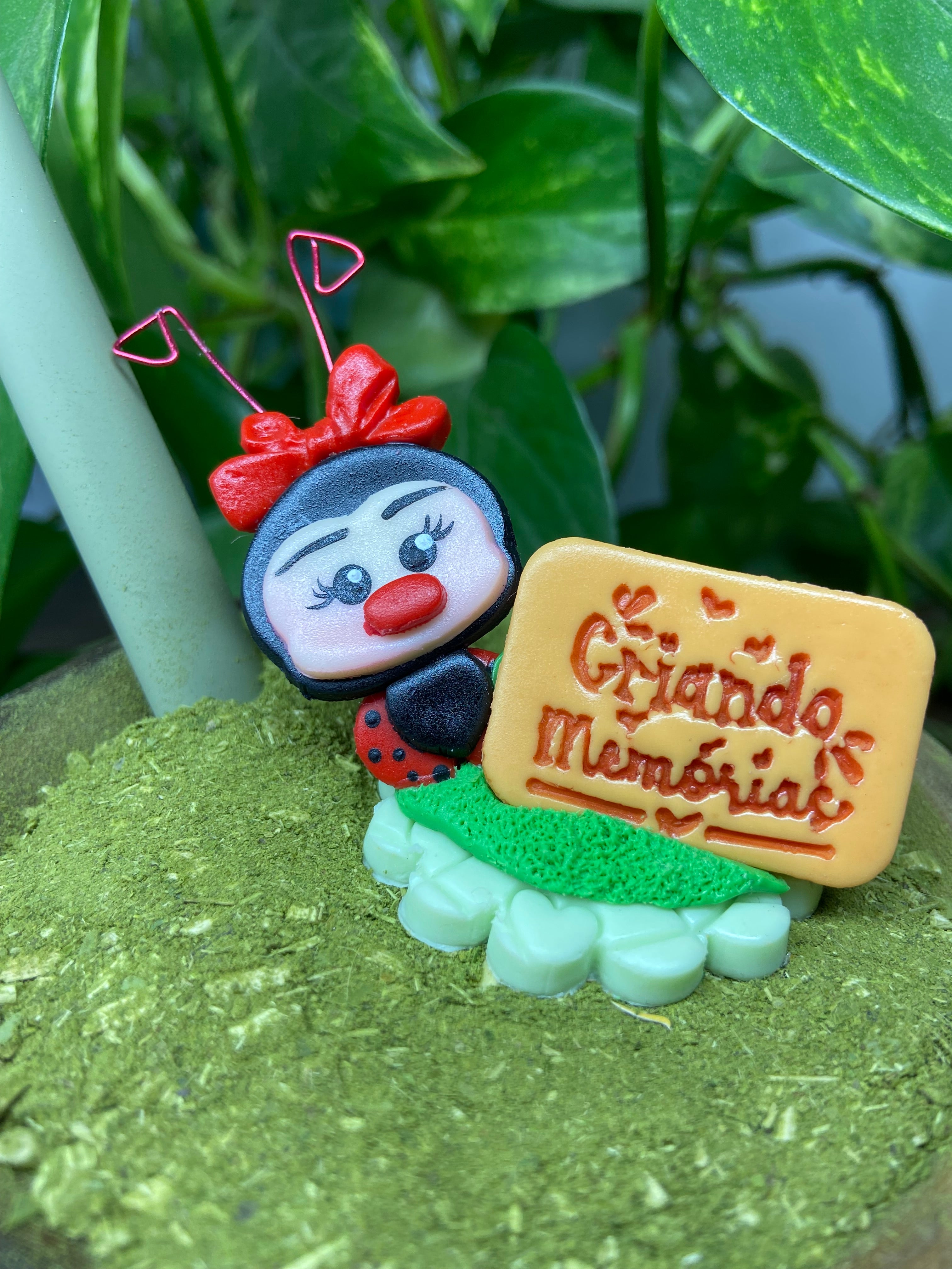 Criando memórias Joaninha | enfeite de chimarrão