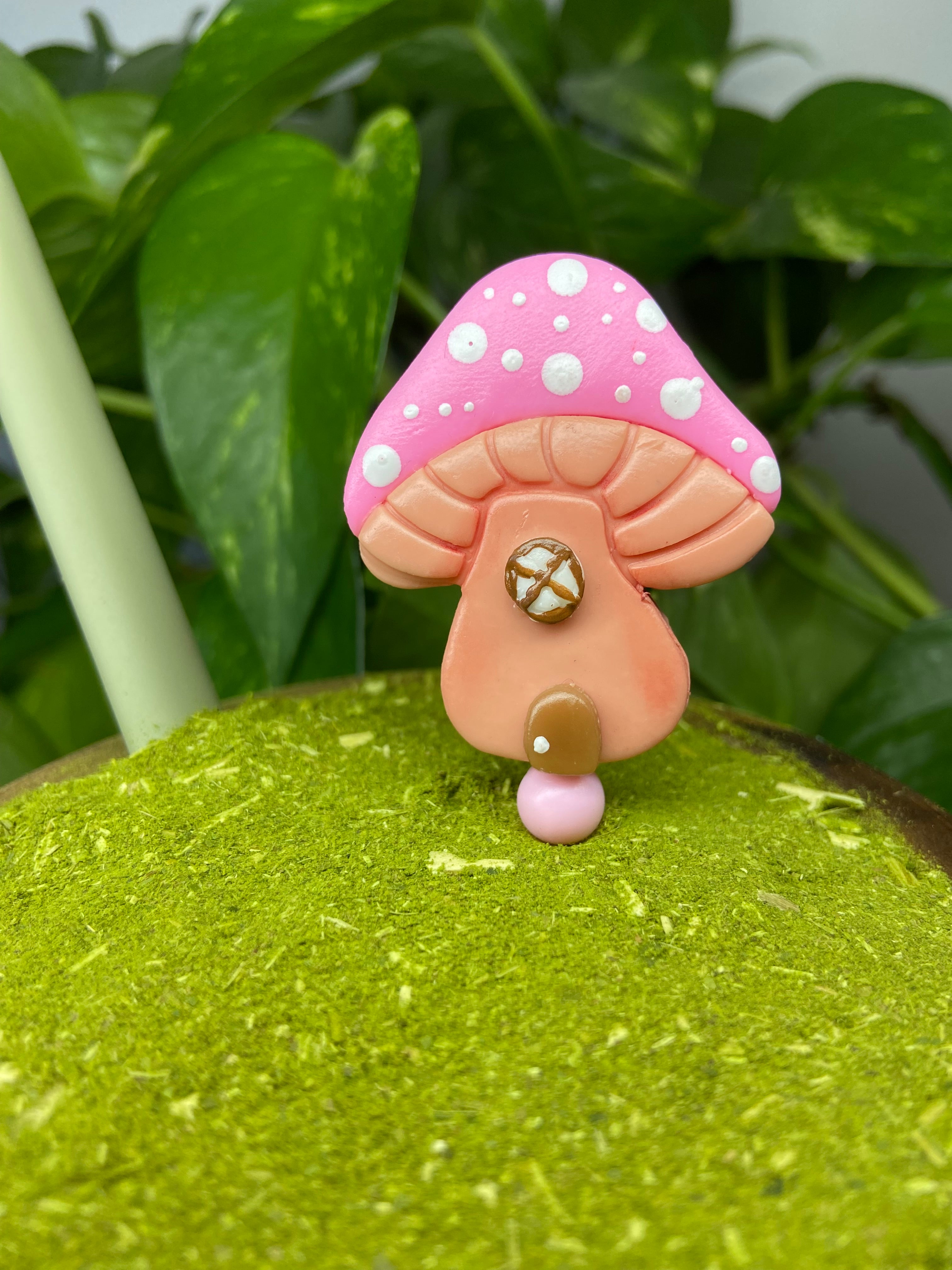 Casinha Cogumelo | enfeite de chimarrão