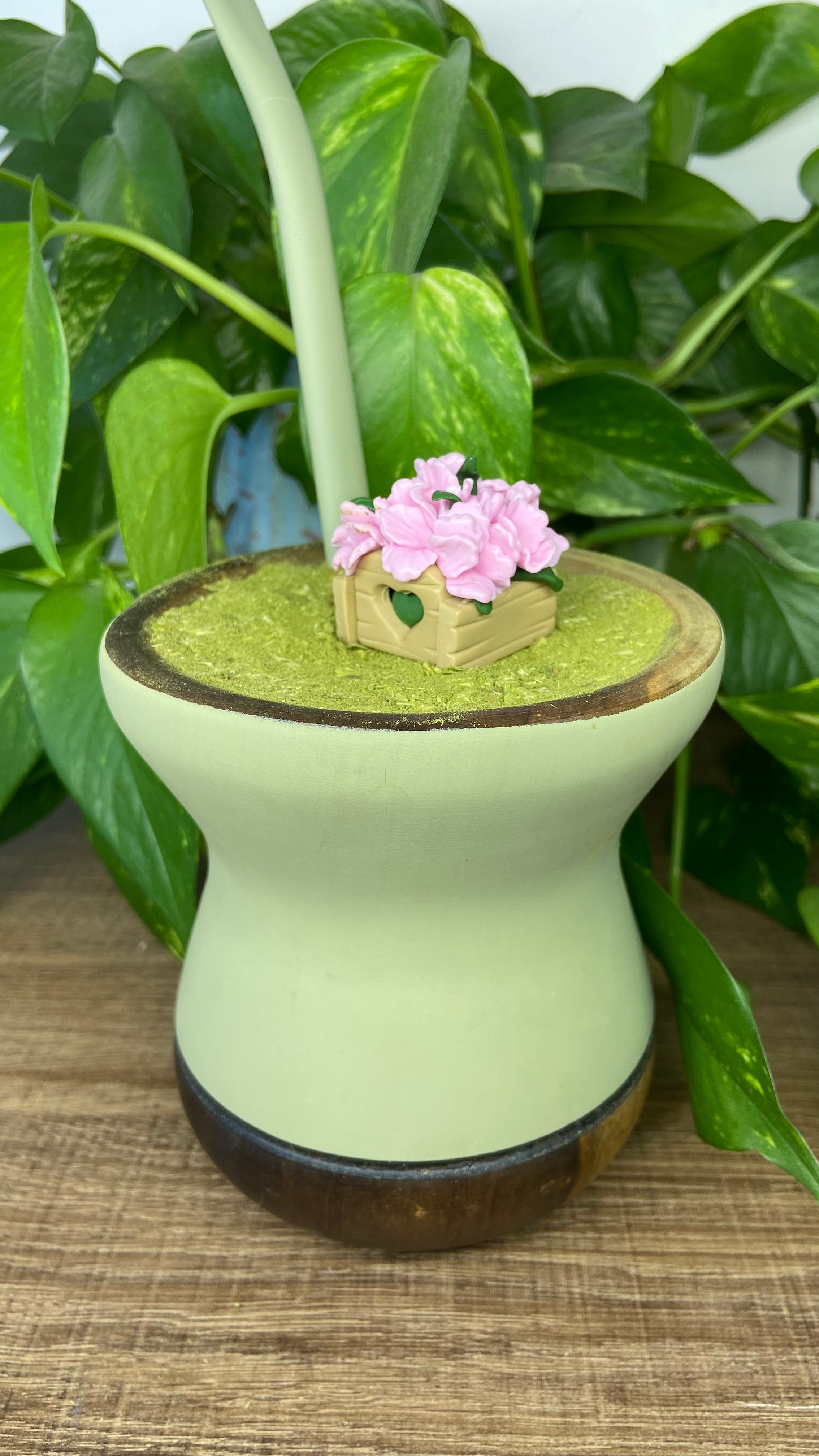 Caixote de flor| enfeite de chimarrão