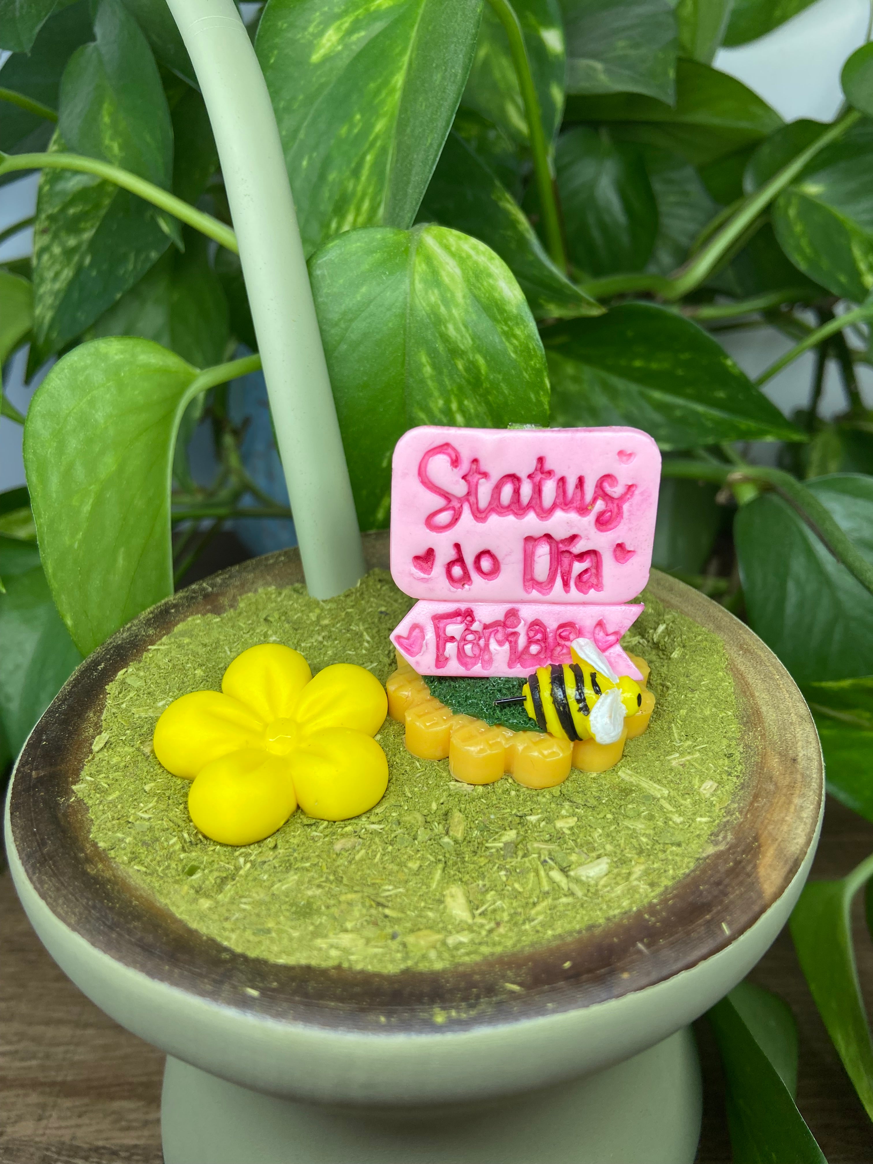 Kit Status do dia Férias | enfeite de chimarrão