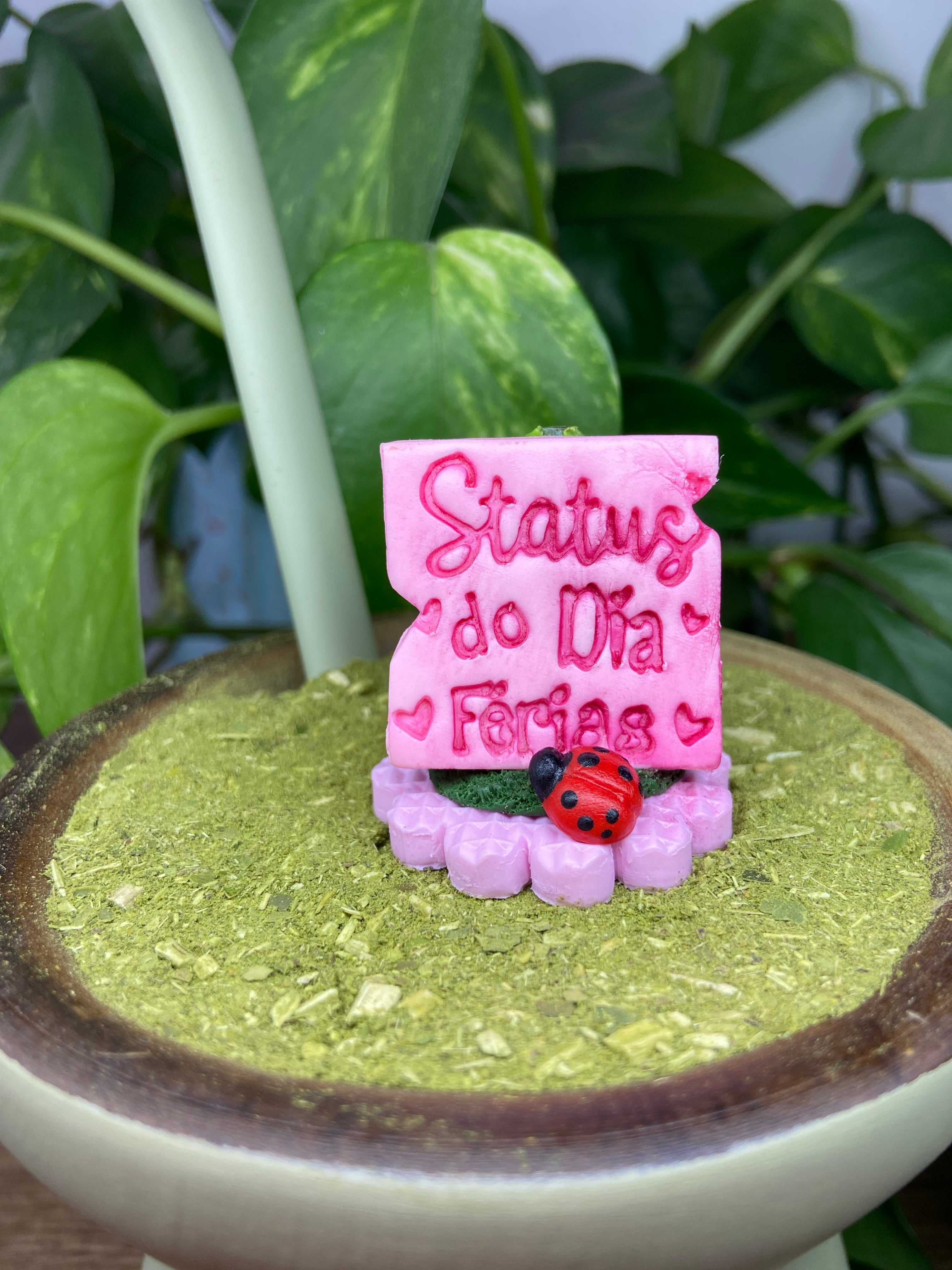 Status do dia férias| enfeite de chimarrão