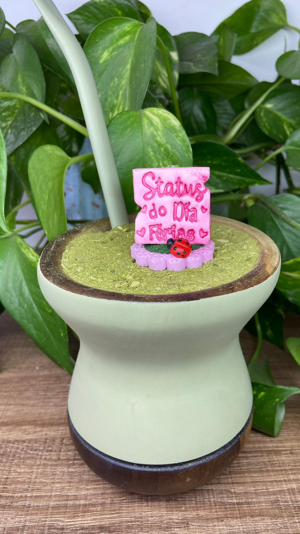 Status do dia férias| enfeite de chimarrão