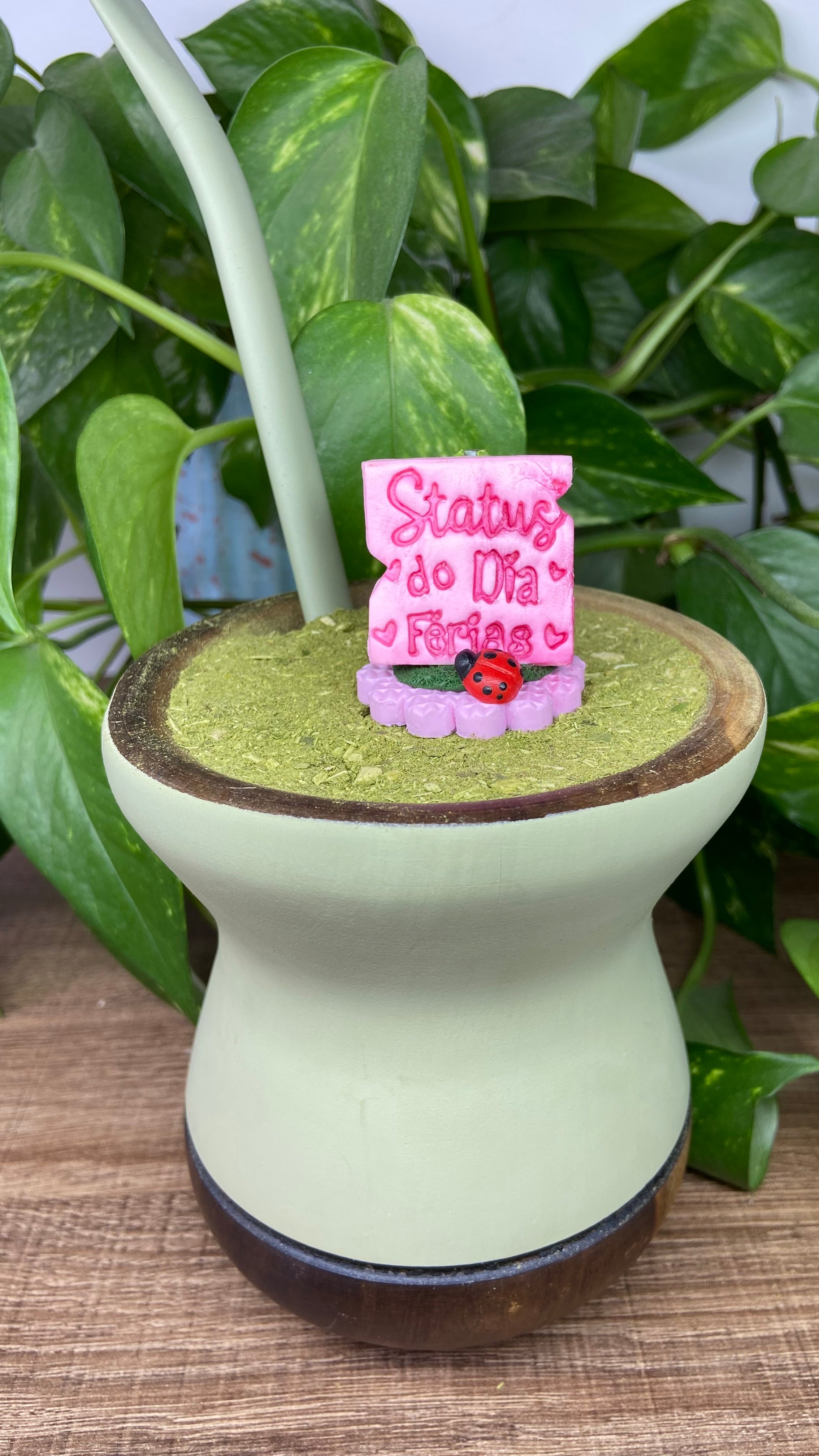 Status do dia férias| enfeite de chimarrão