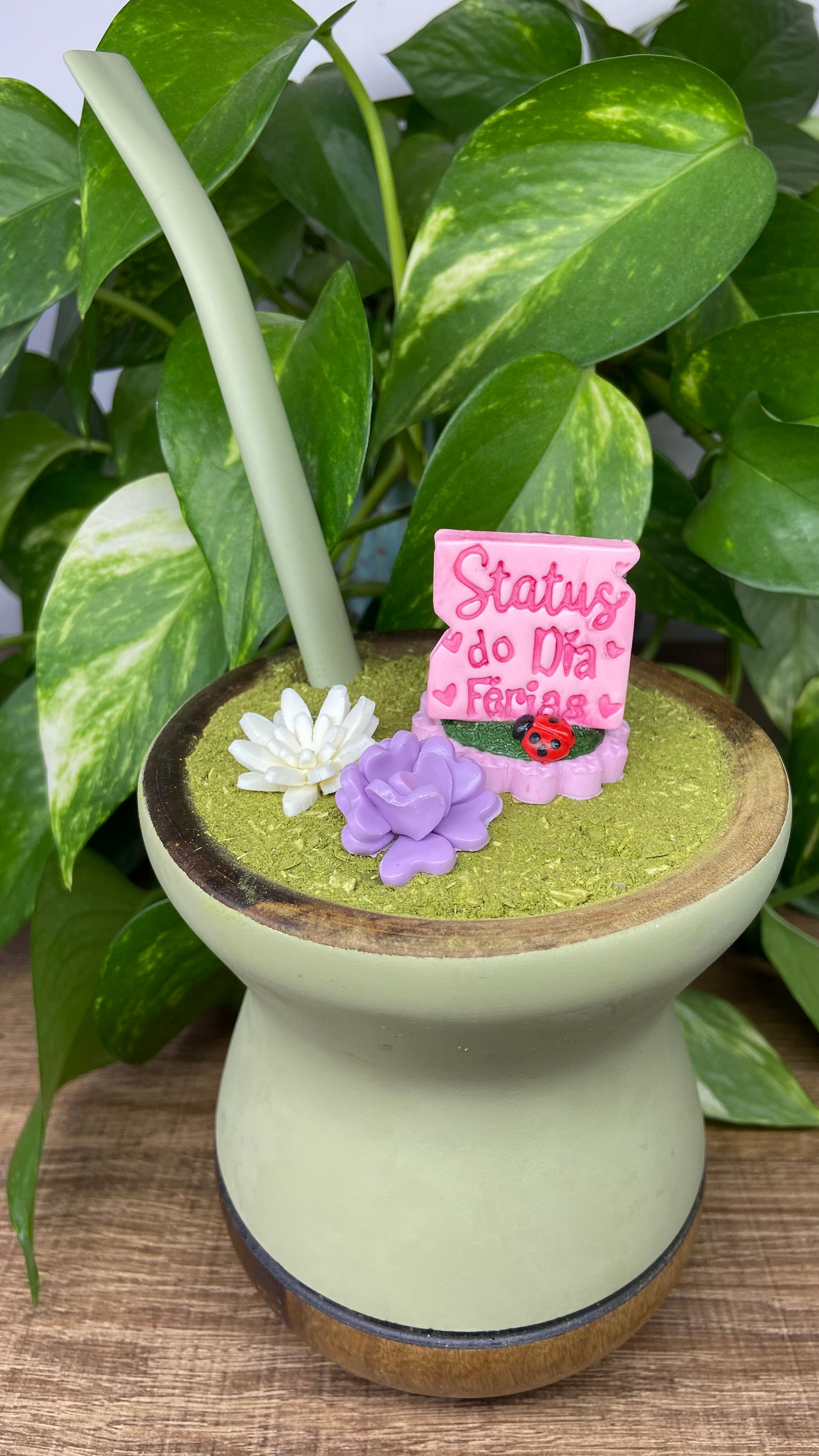 Kit Status do dia férias| enfeite de chimarrão