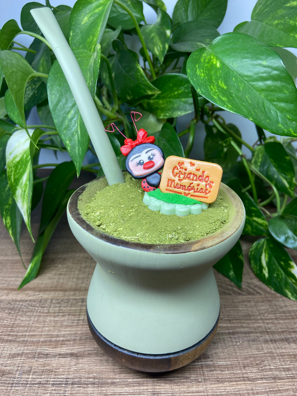 Criando memórias Joaninha | enfeite de chimarrão