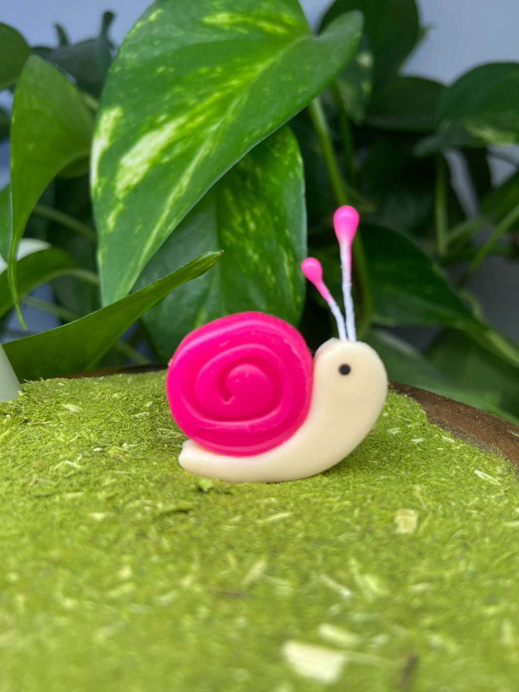 Caracol | enfeite de chimarrão