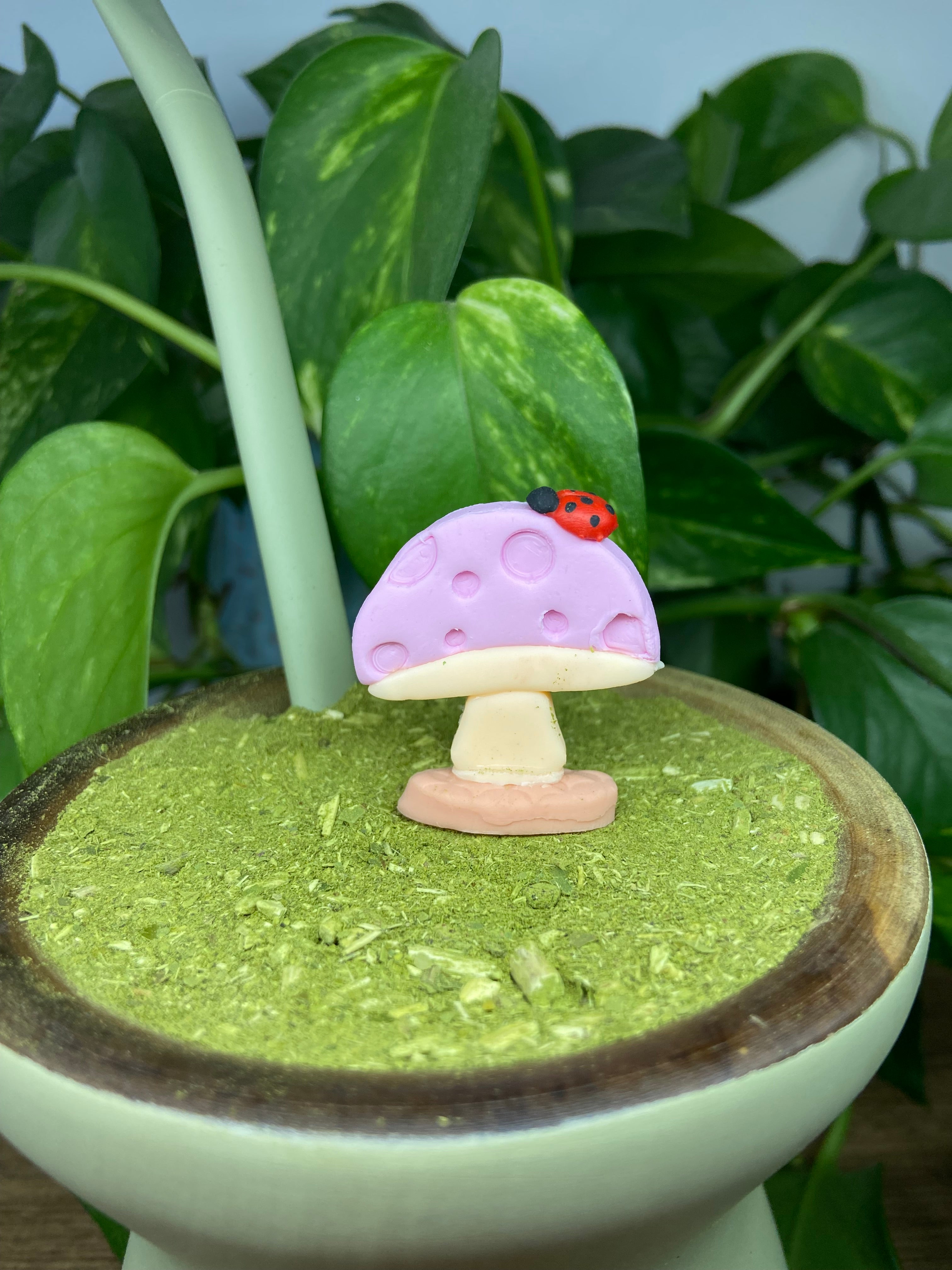 Cogumelo redondinho| enfeite de chimarrão