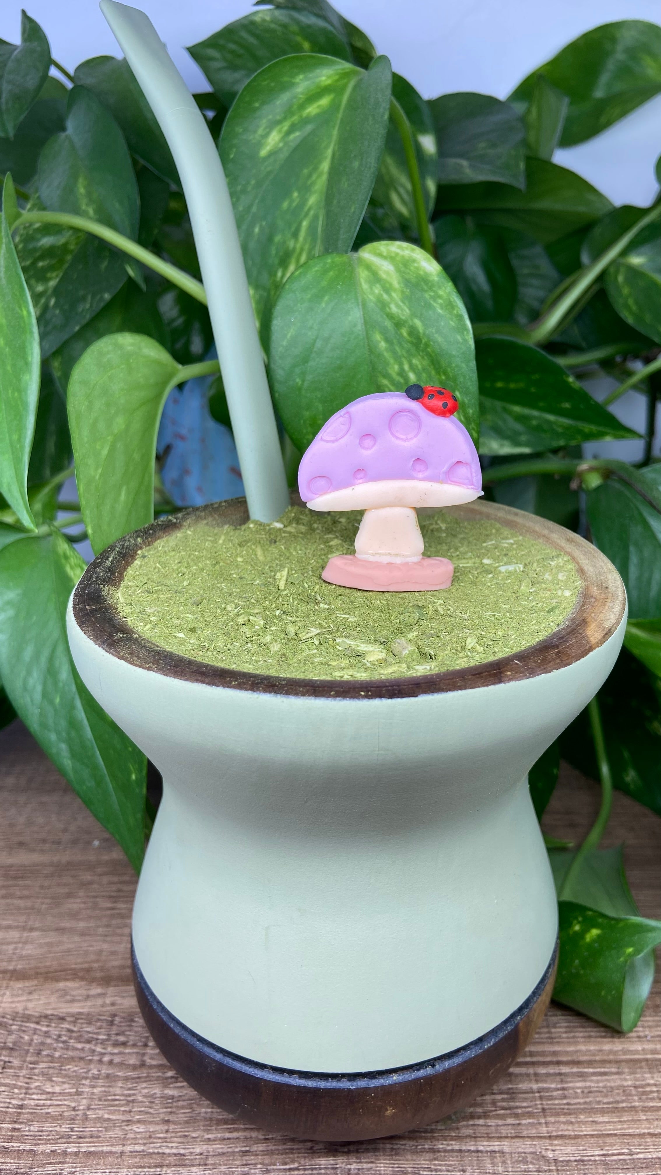 Cogumelo redondinho| enfeite de chimarrão