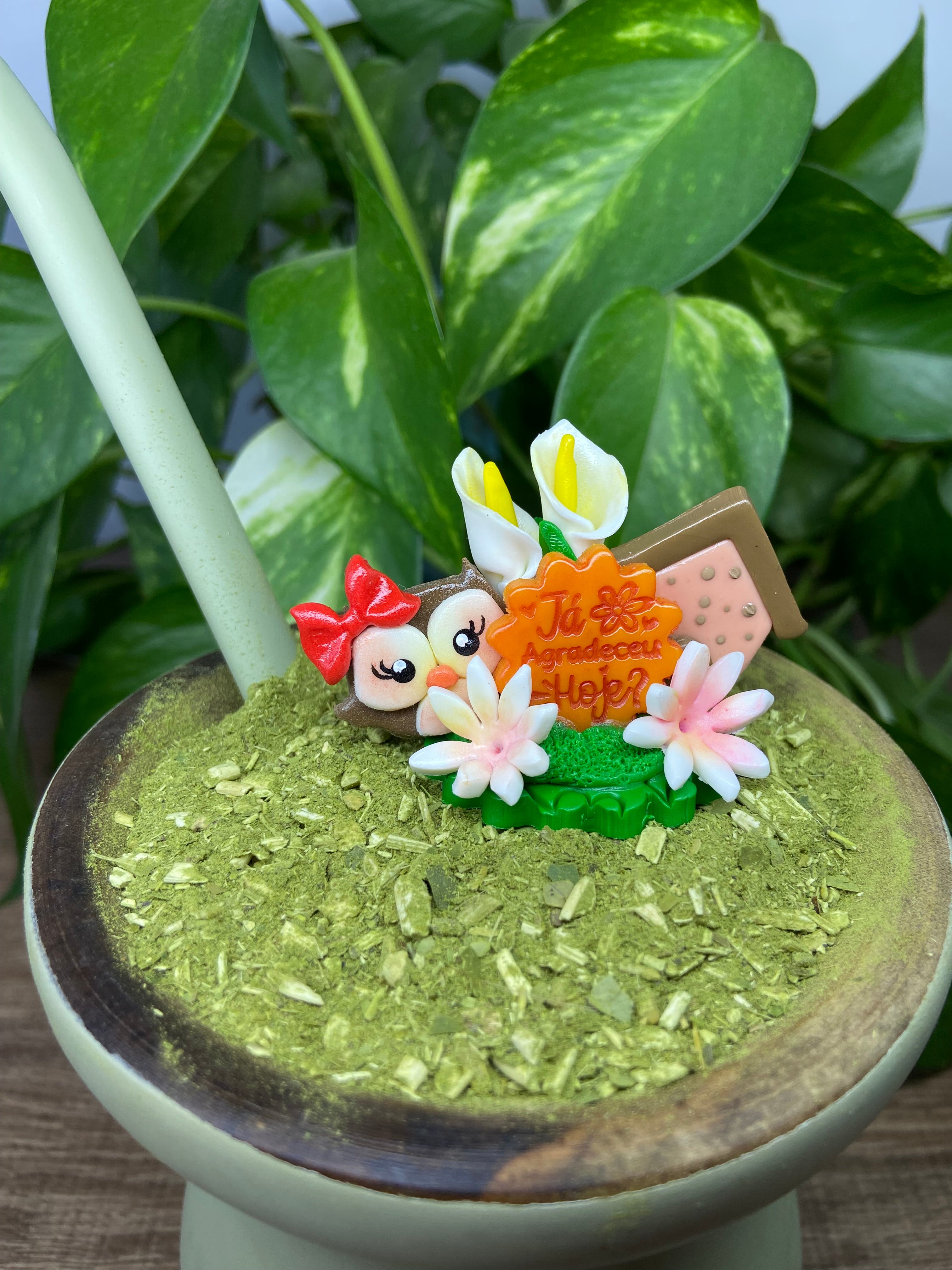 Já agradeceu hoje corujinha| enfeite de chimarrão