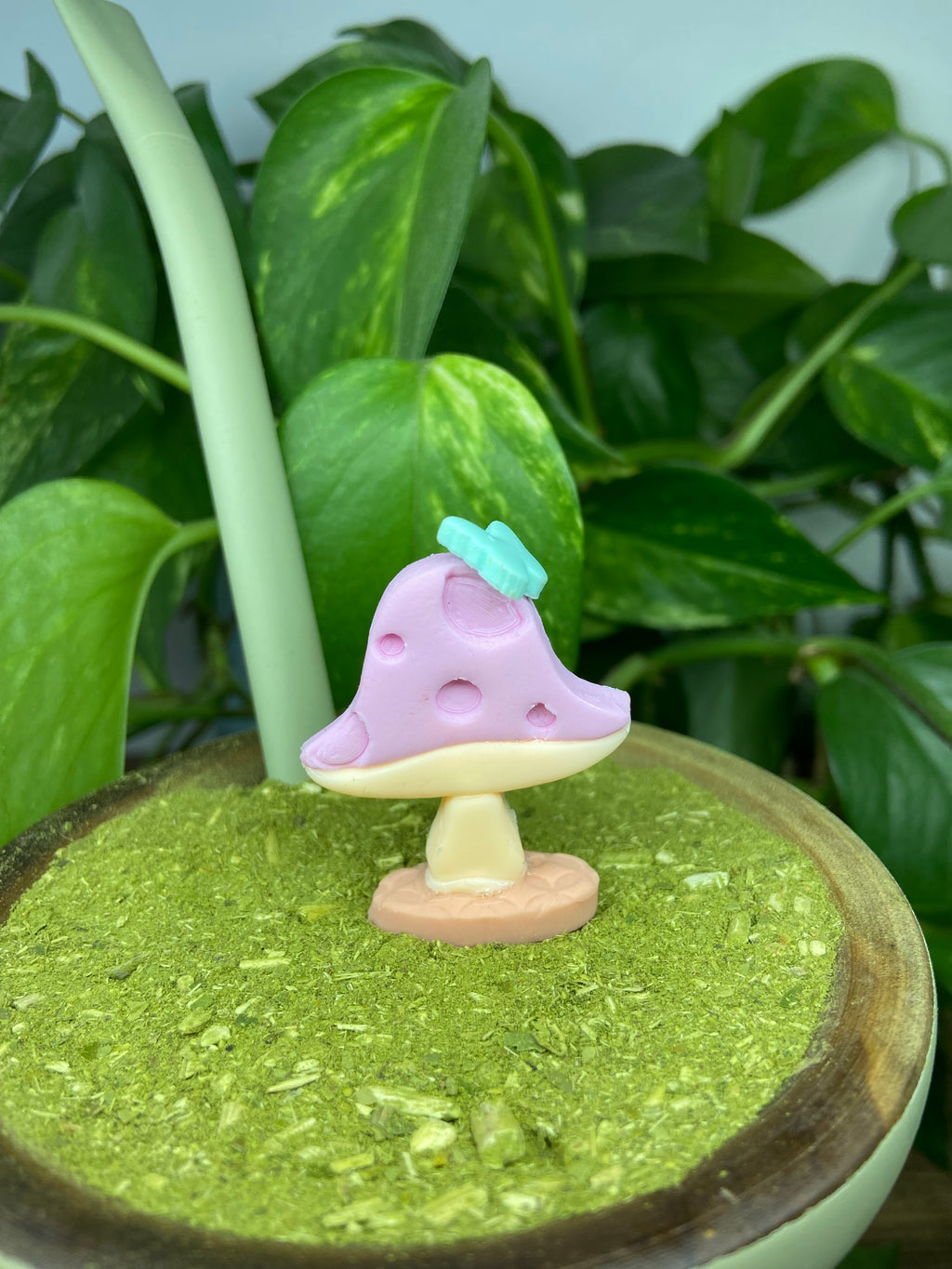 Cogumelo| enfeite de chimarrão