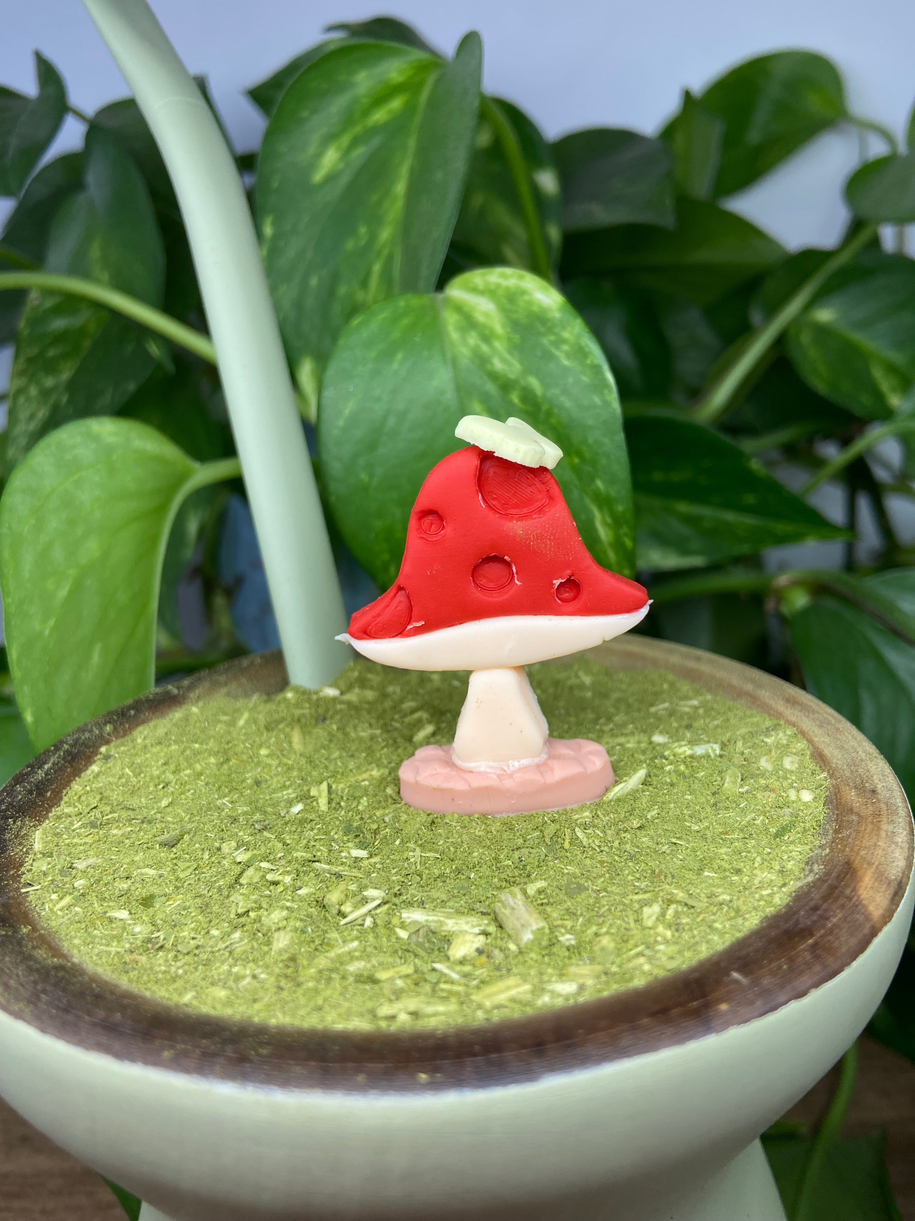 Cogumelo| enfeite de chimarrão