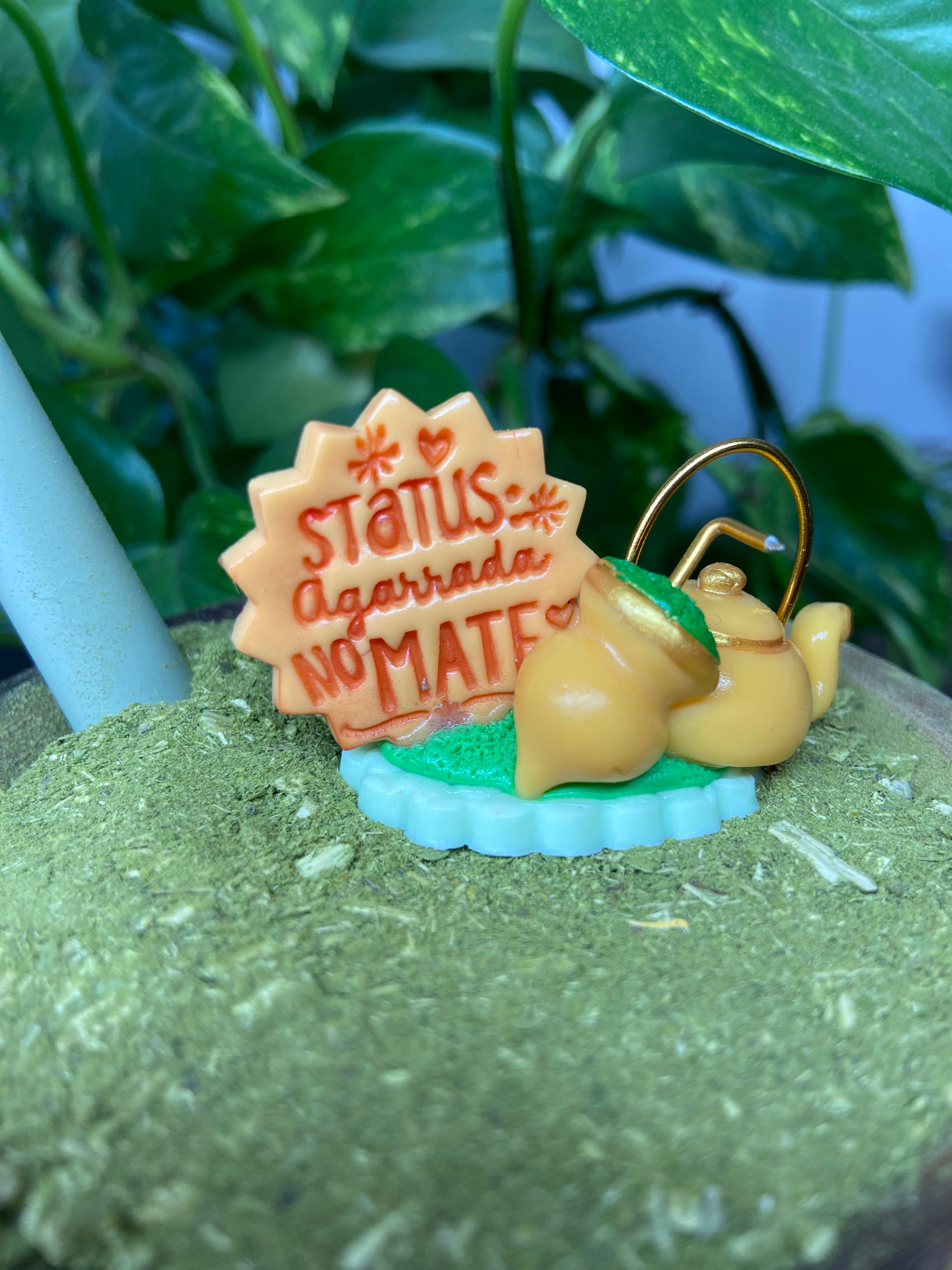 Status agarrada no Mate | enfeite de chimarrão