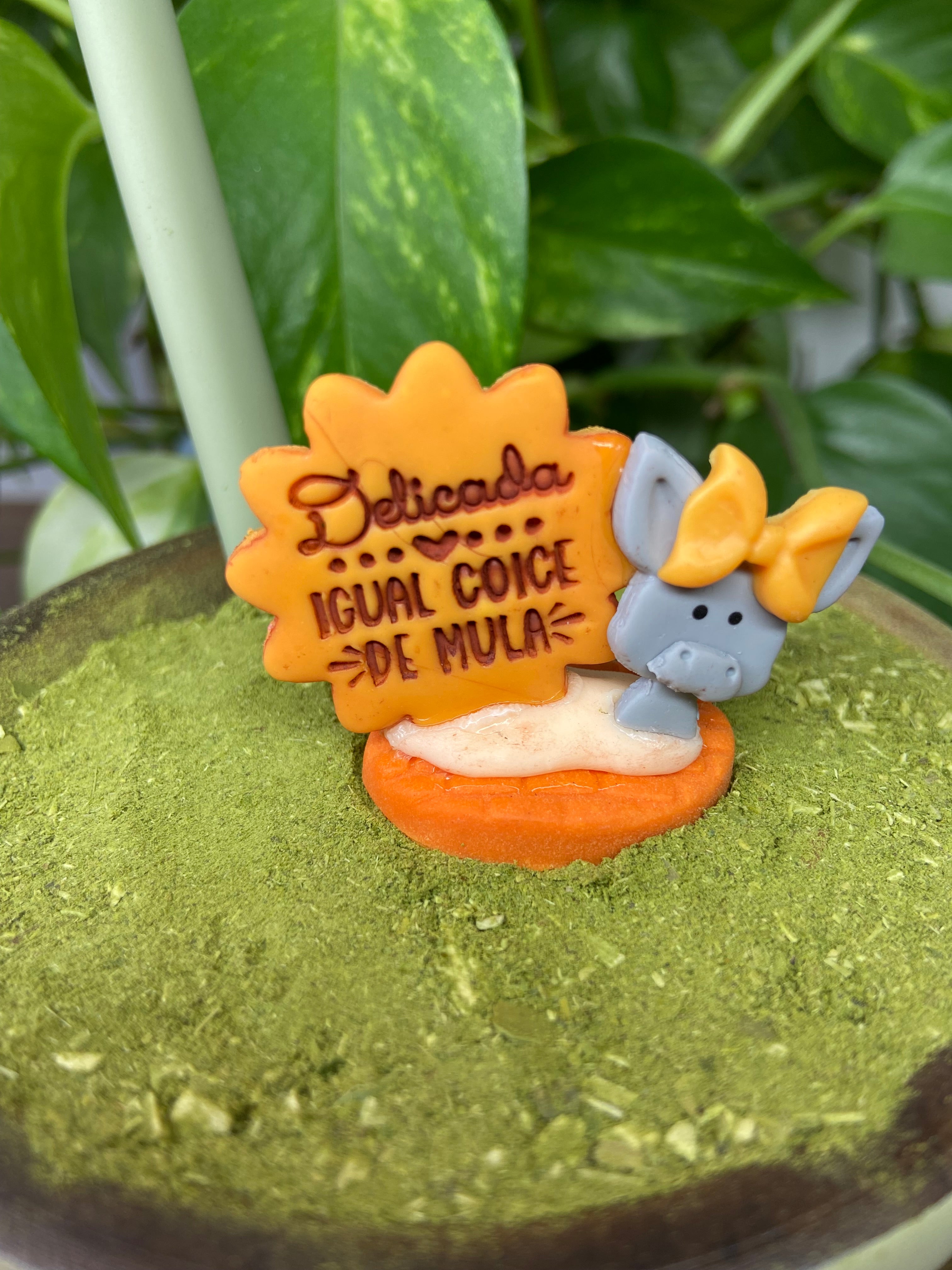 Delicada igual coice de mula| enfeite de chimarrão