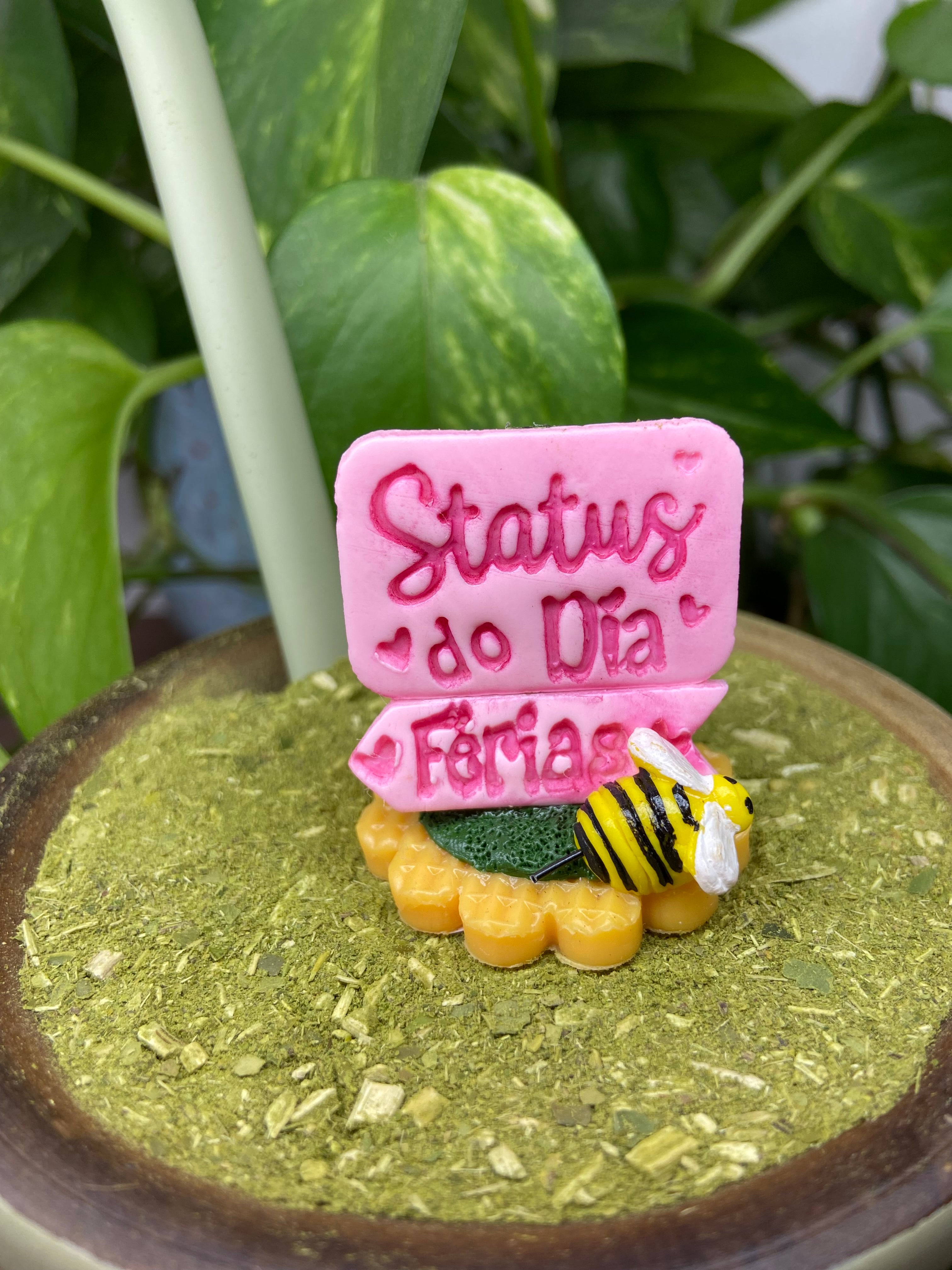Status do dia férias| enfeite de chimarrão