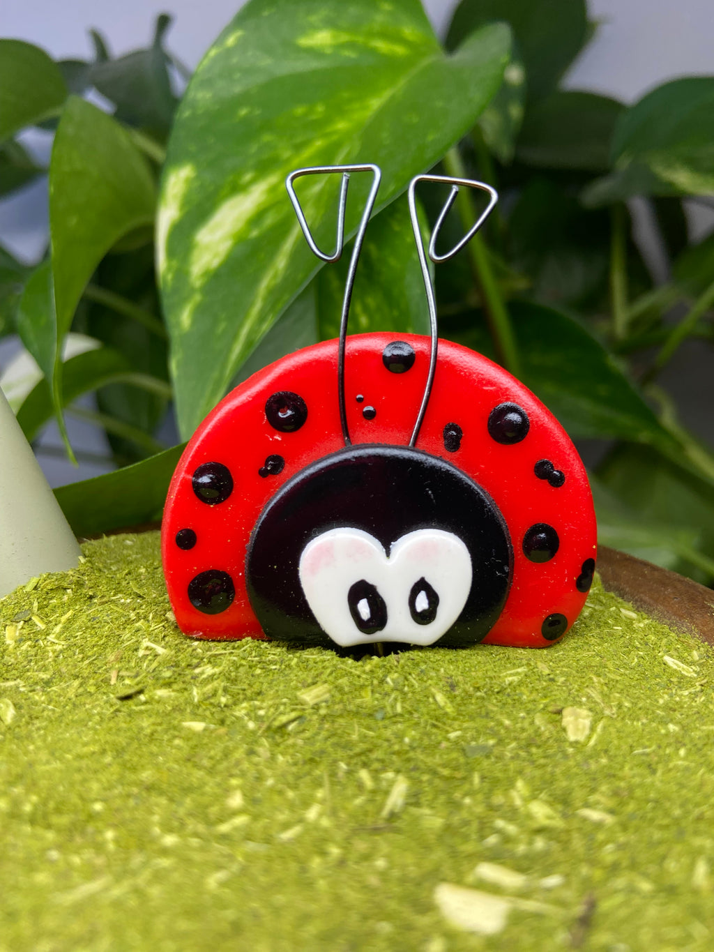 Joaninha | enfeite de chimarrão