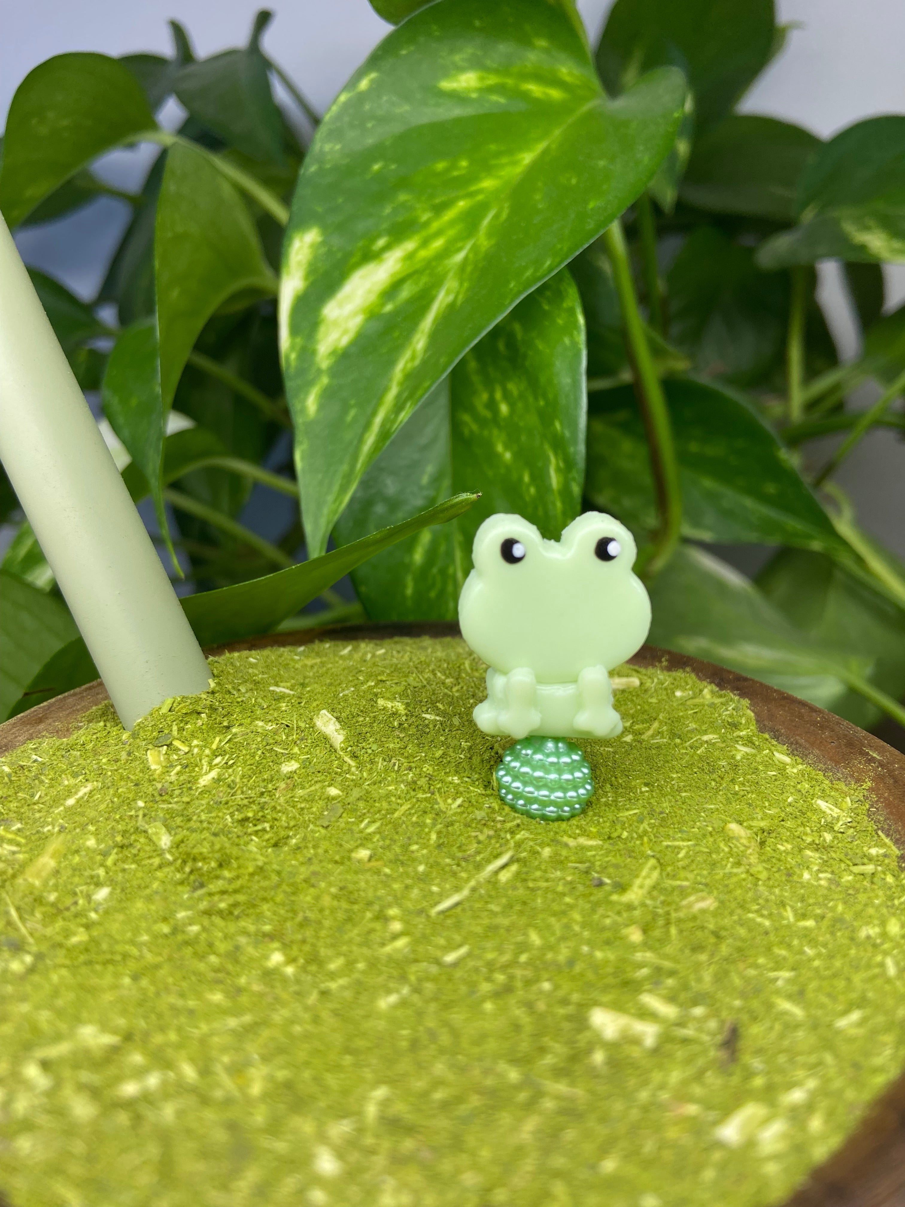 Sapinho| enfeite de chimarrão