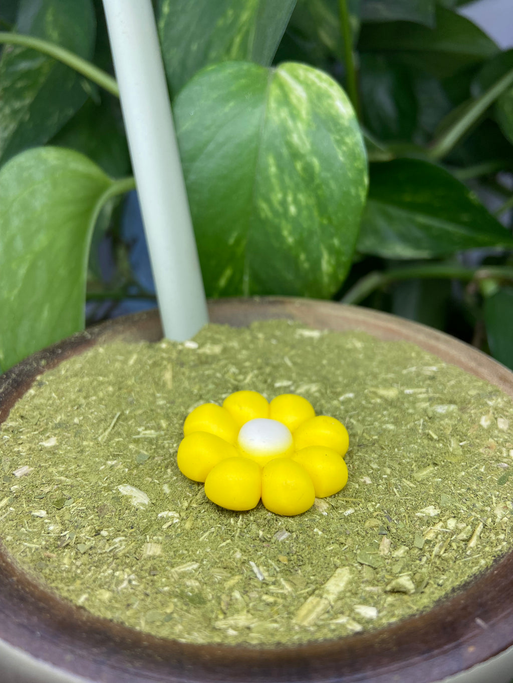 Flor m2| enfeite de chimarrão