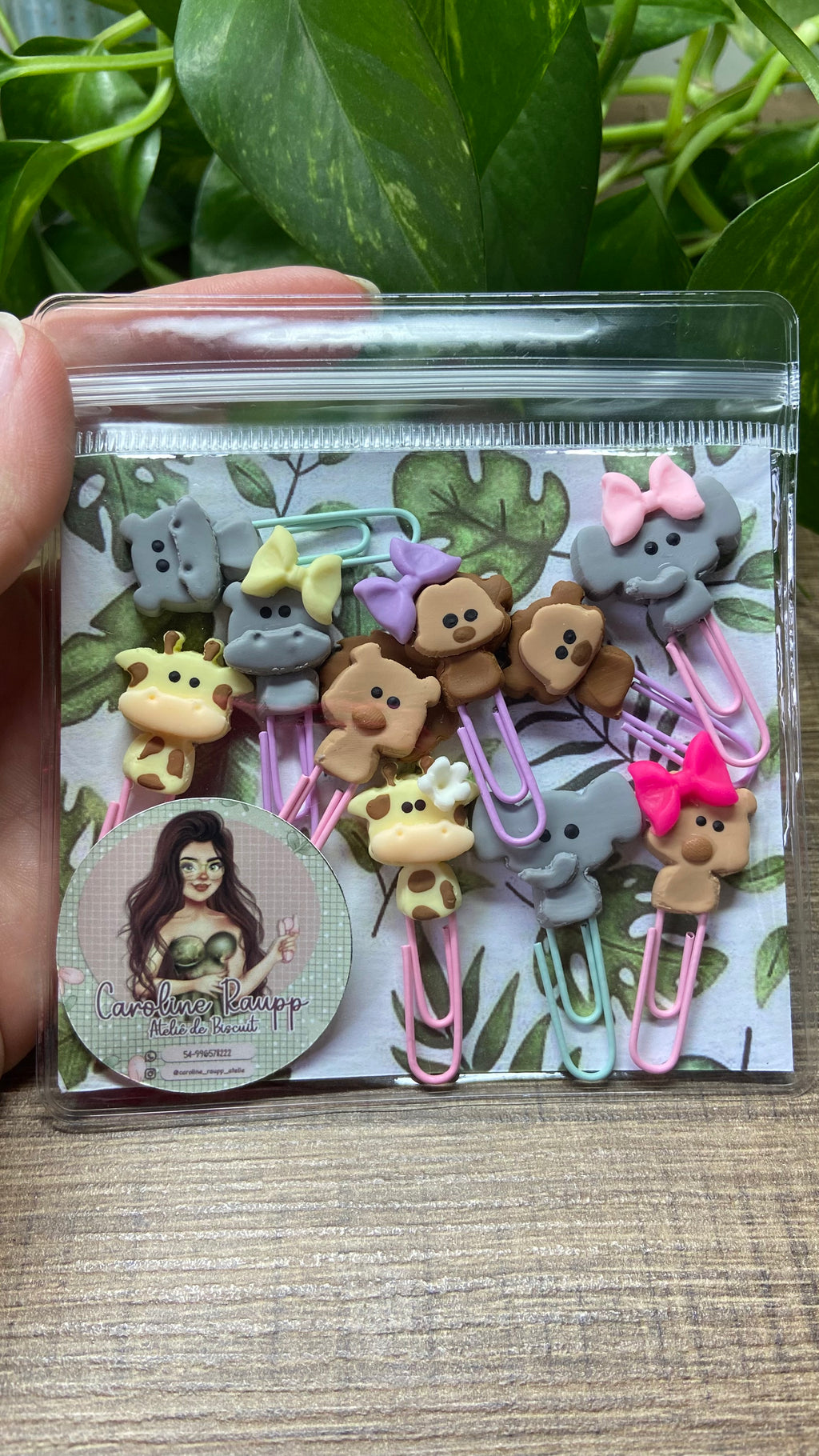 Kit com 10 Clips tema Safari