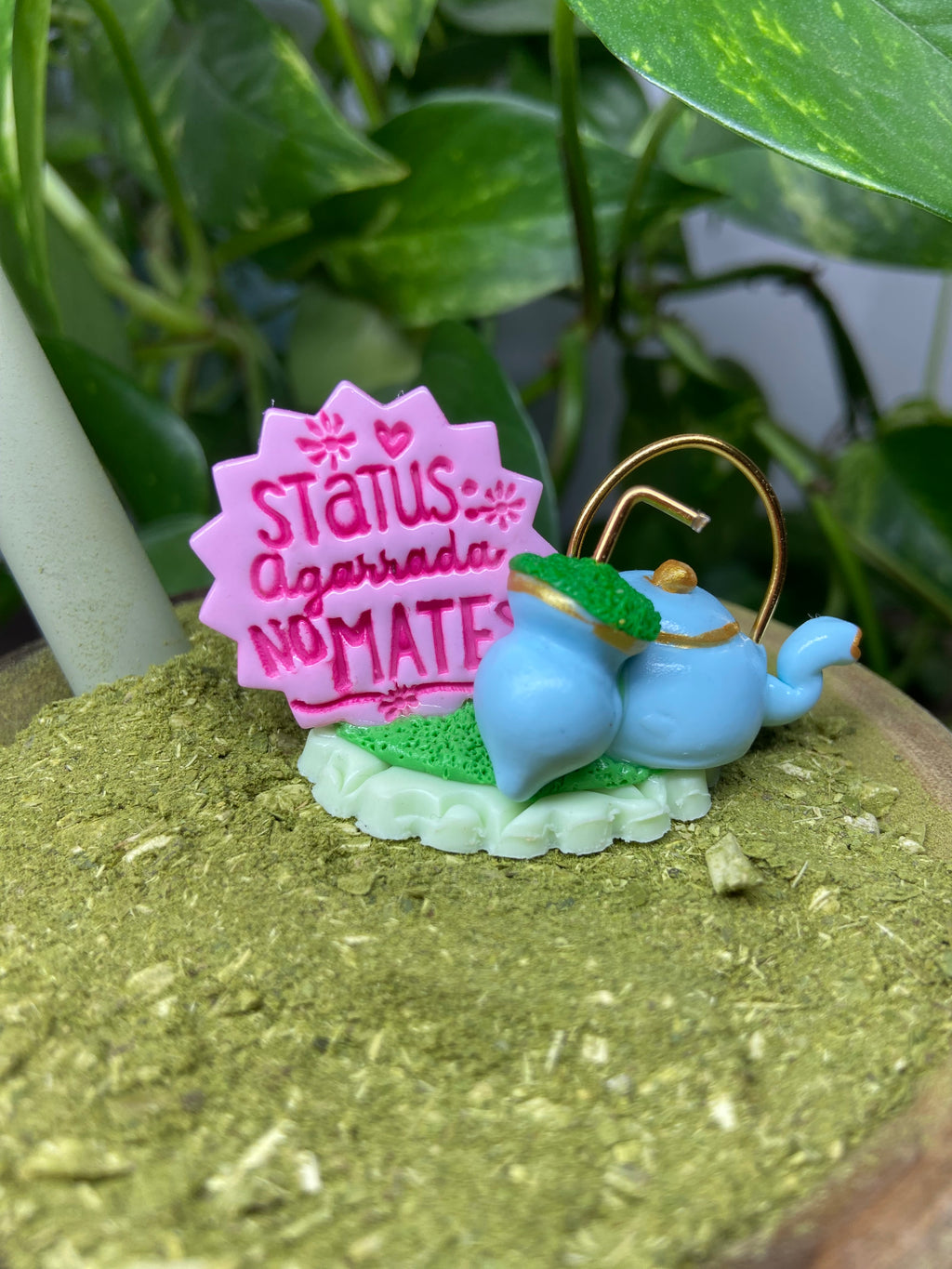 Status agarrada no Mate | enfeite de chimarrão