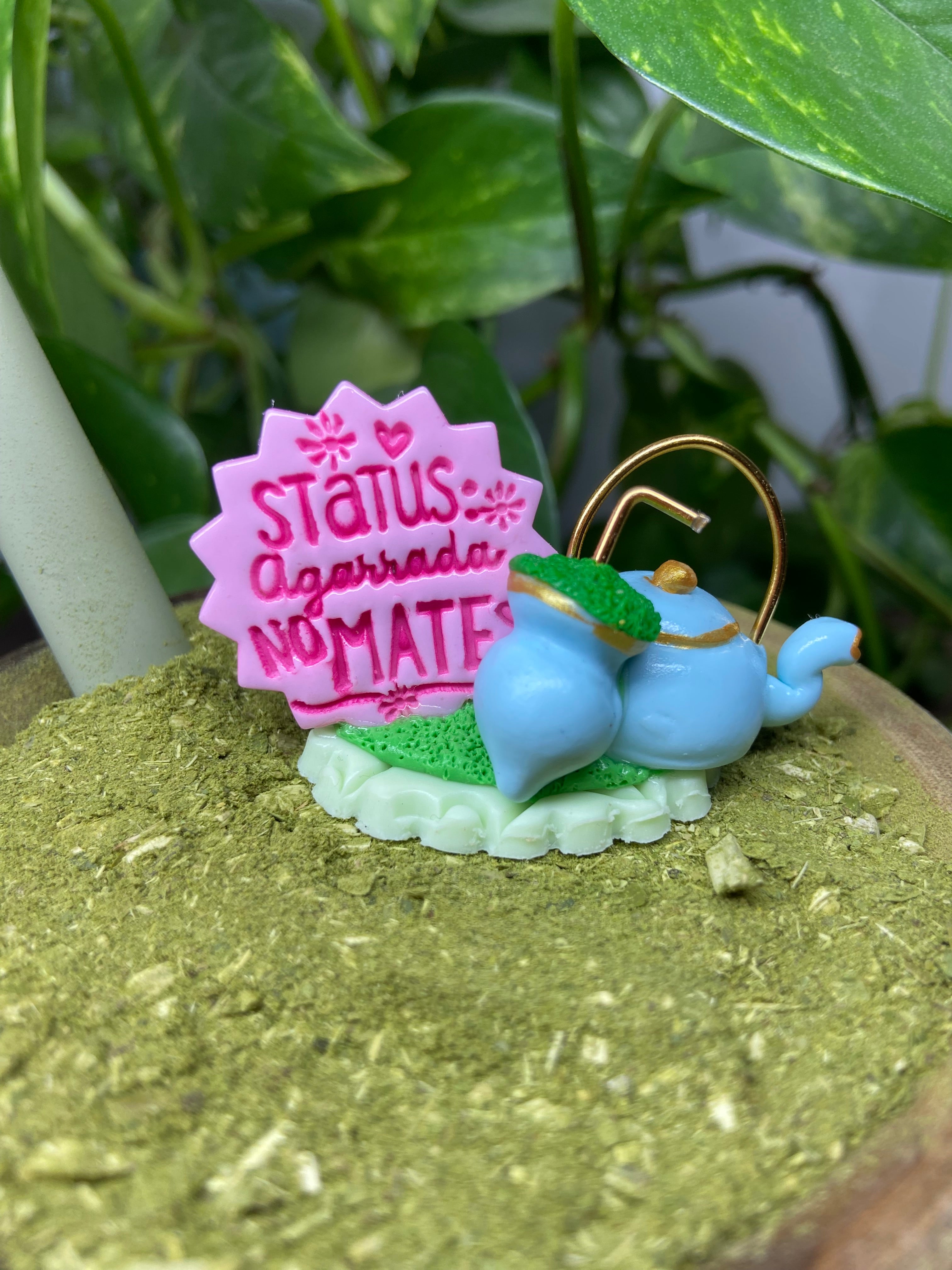 Status agarrada no Mate | enfeite de chimarrão