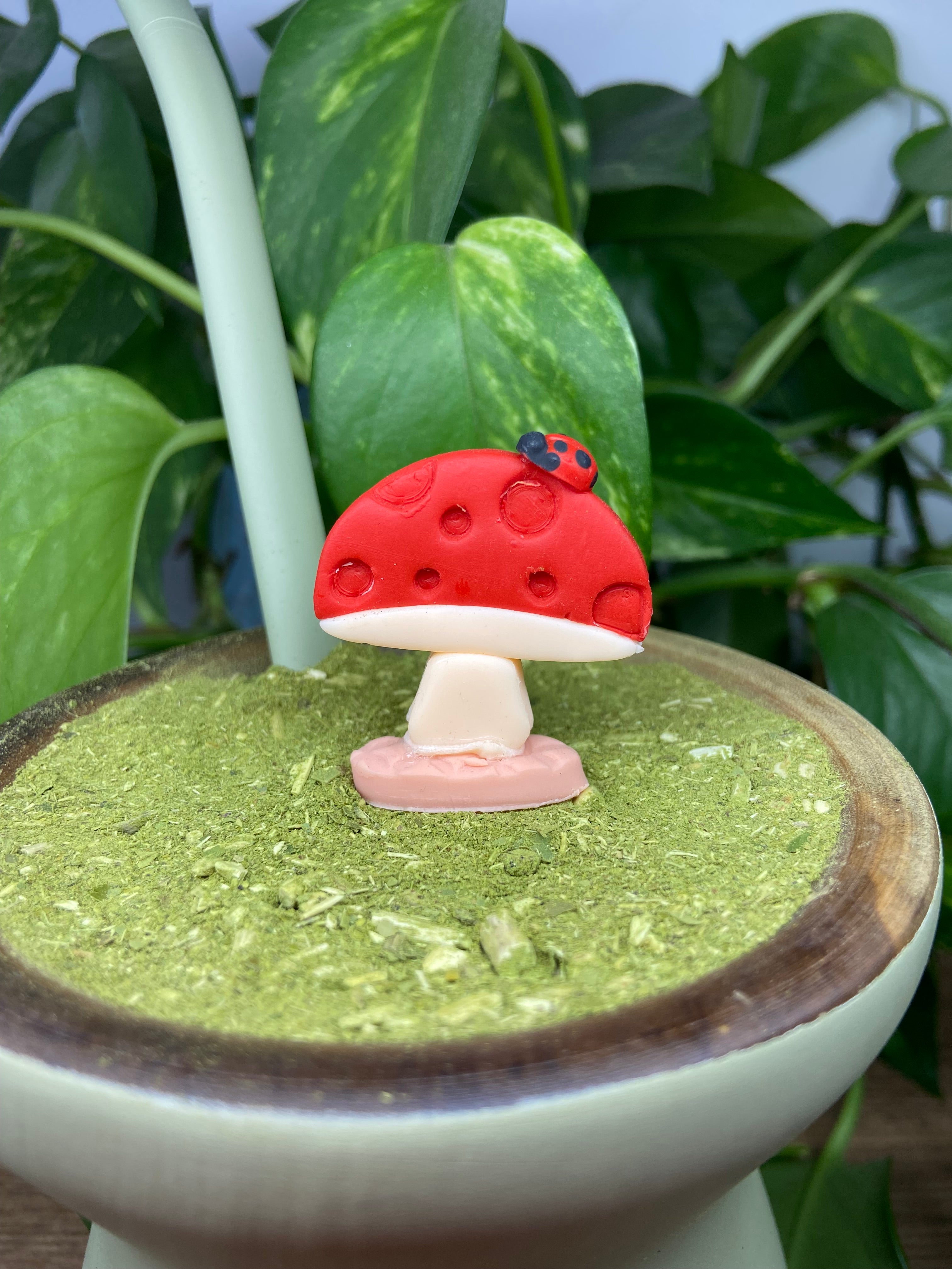 Cogumelo redondinho| enfeite de chimarrão