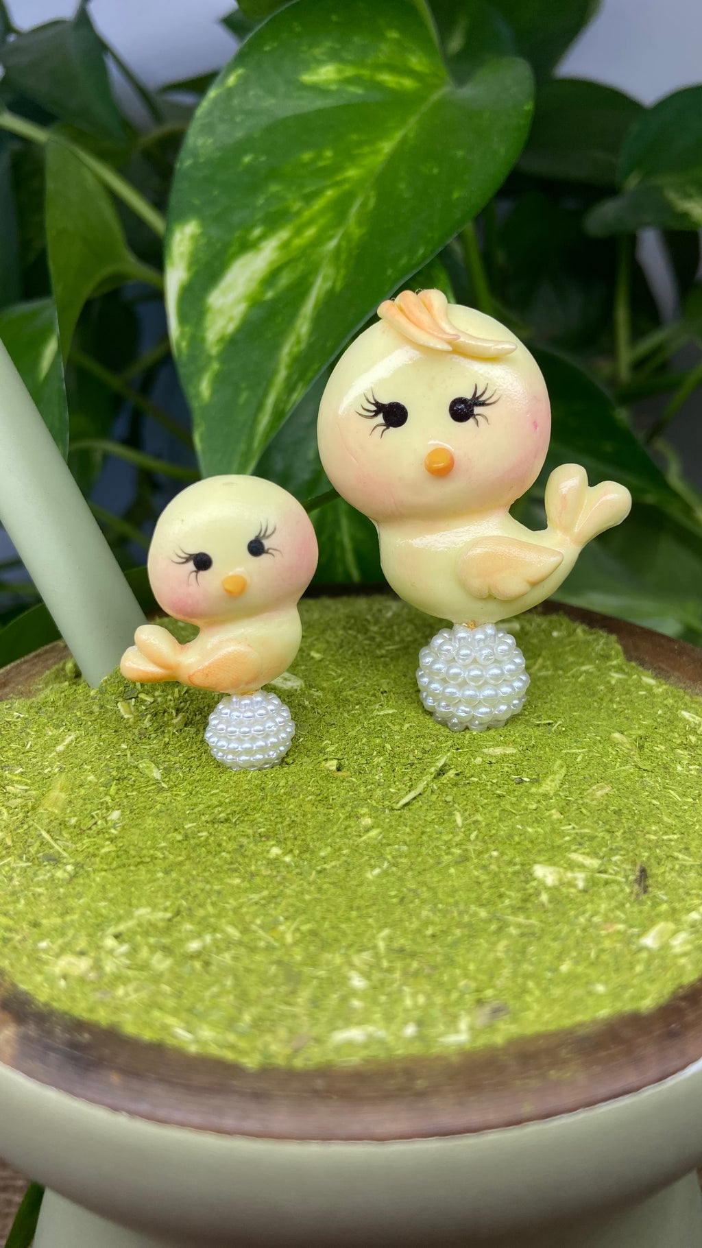 Passarinhos duo| enfeite de chimarrão