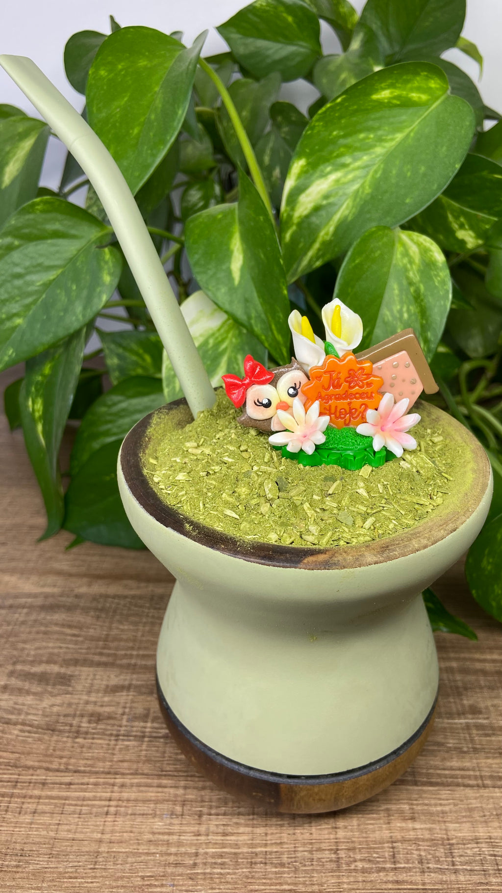 Já agradeceu hoje corujinha| enfeite de chimarrão