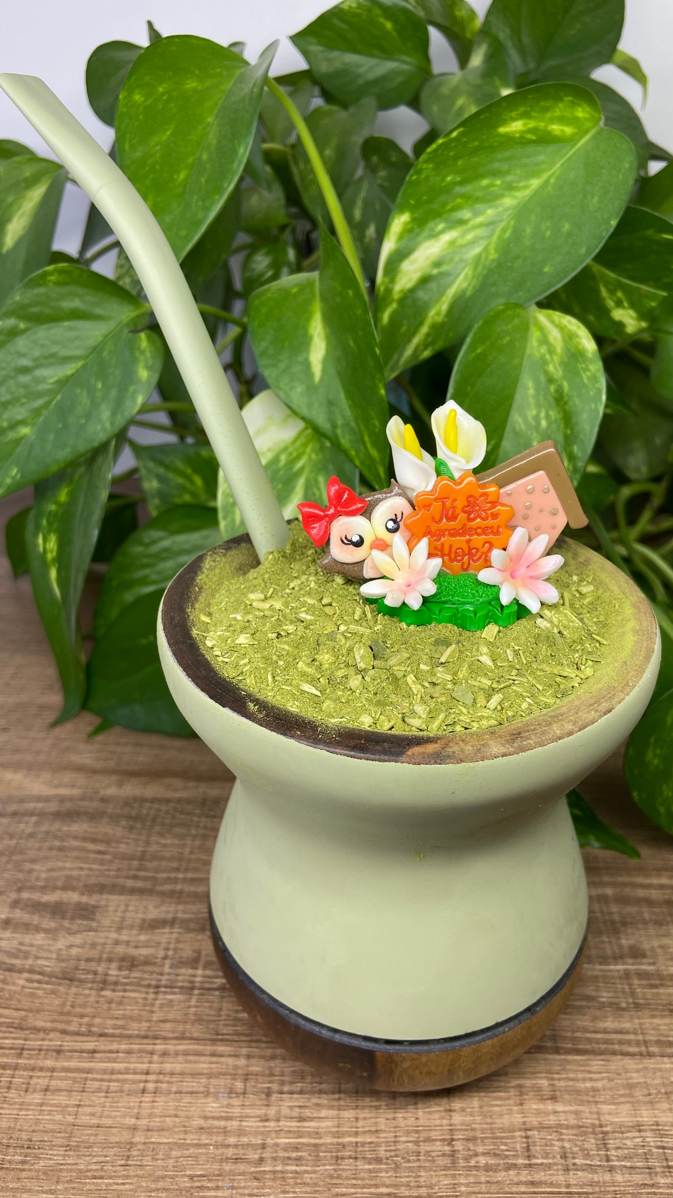 Já agradeceu hoje corujinha| enfeite de chimarrão