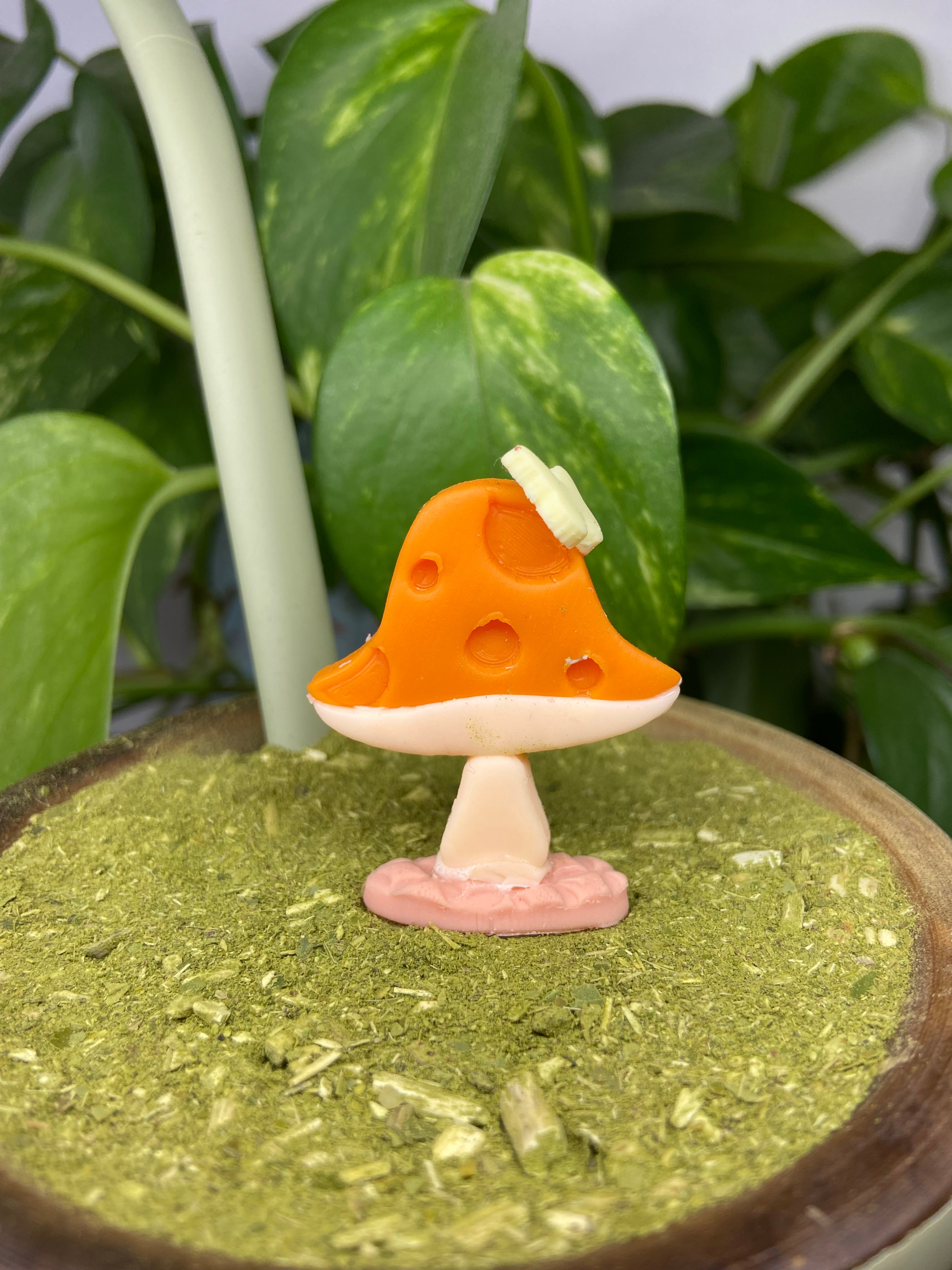 Cogumelo| enfeite de chimarrão