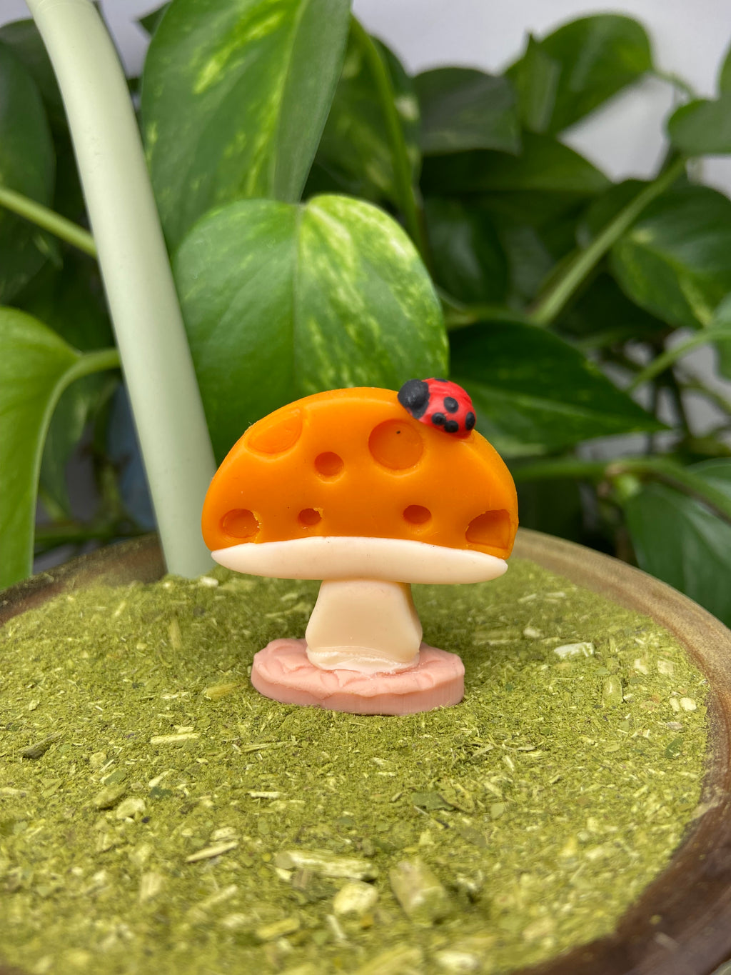 Cogumelo redondinho| enfeite de chimarrão