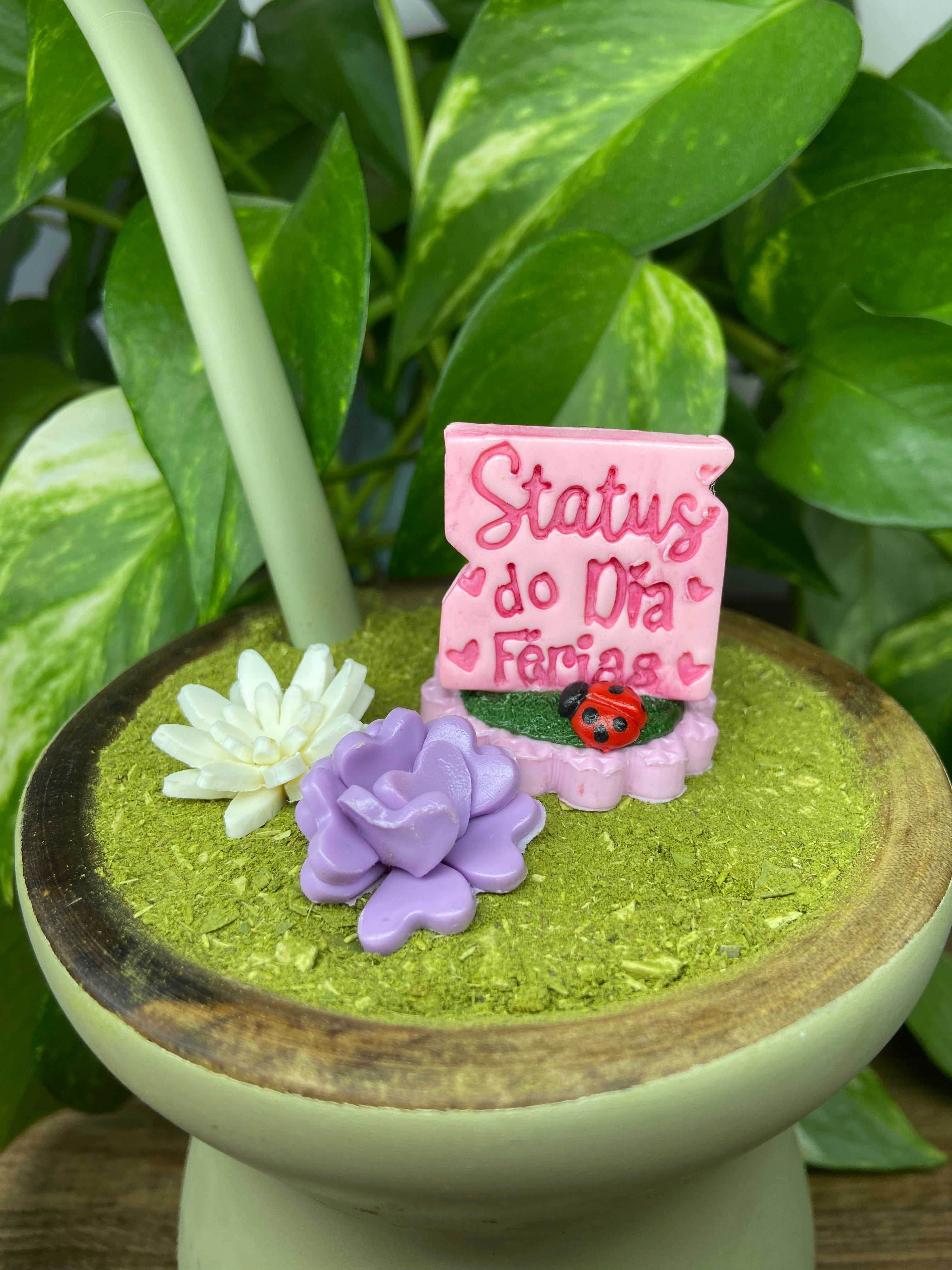 Kit Status do dia férias| enfeite de chimarrão