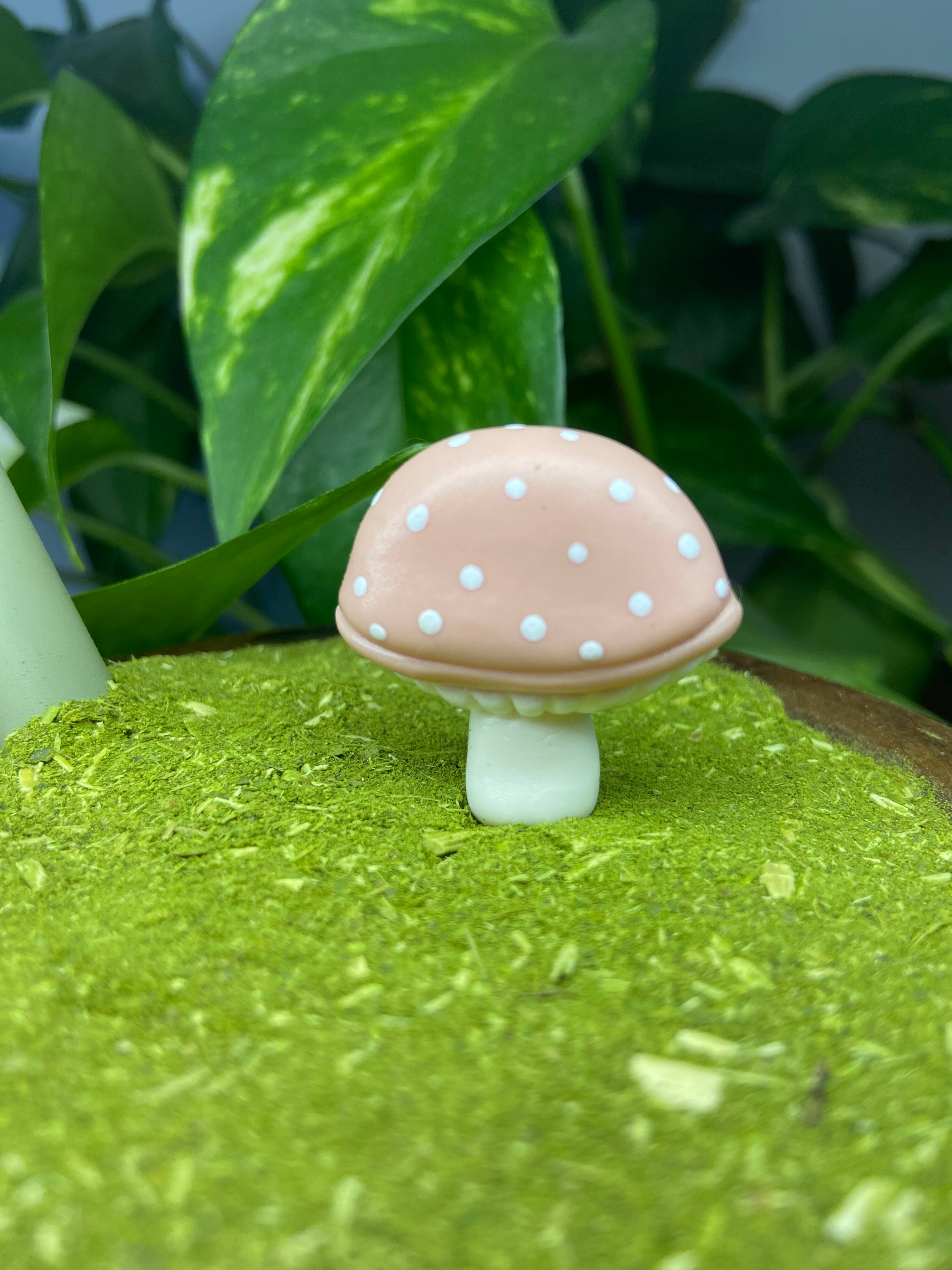 Cogumelo | enfeite de chimarrão